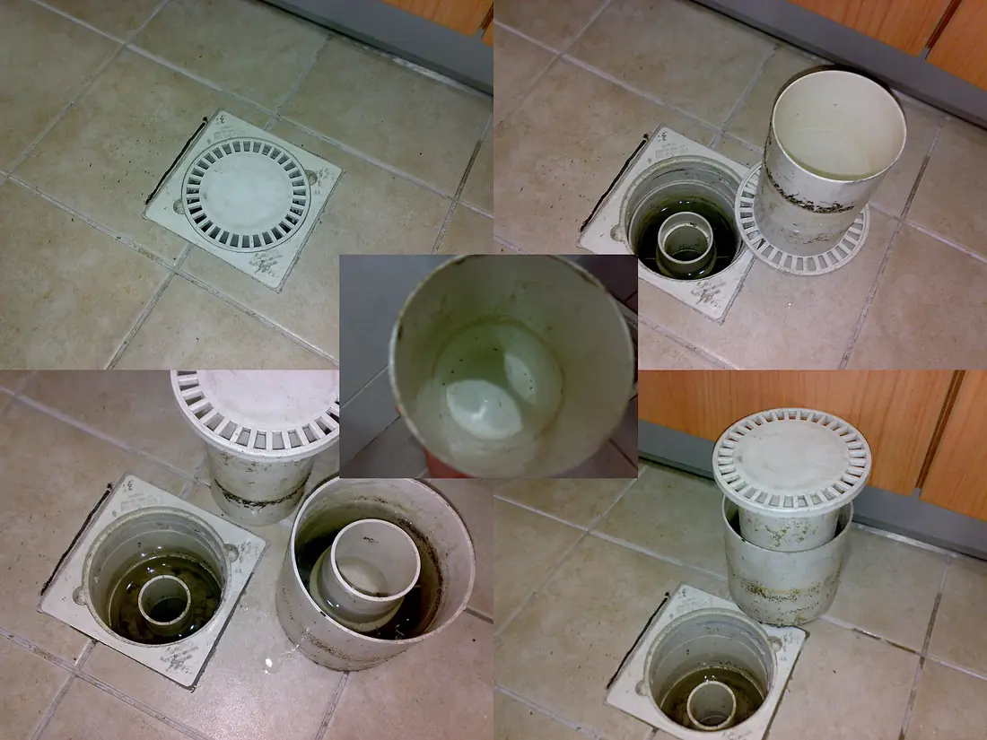 Floor drain with its cover lifted, showing the trap insert underneath