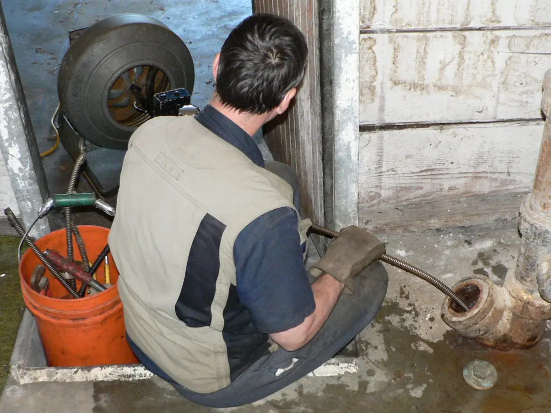 Plumber feeding a drain snake into a pipe